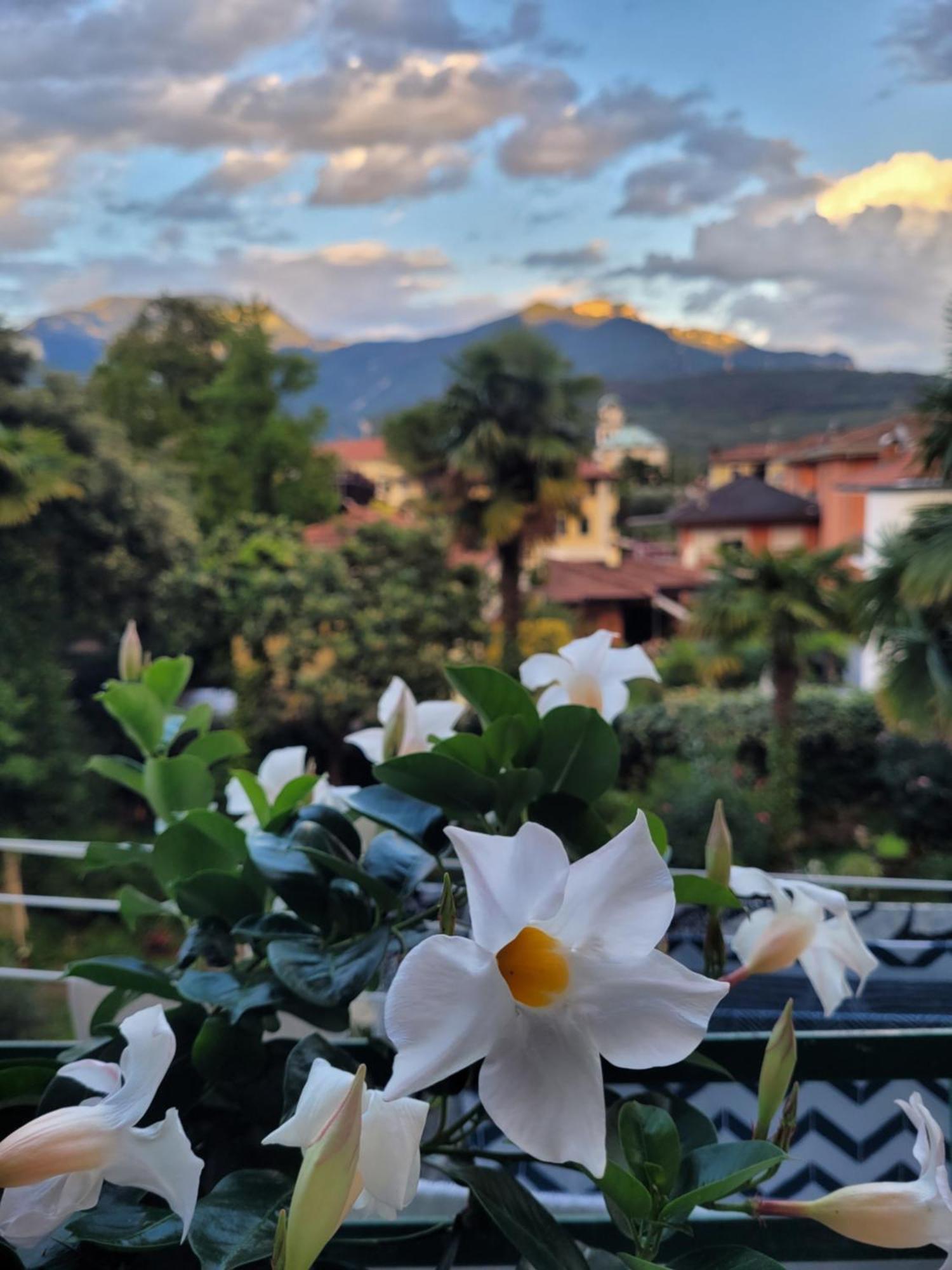 B&B Dal Nonno Riva del Garda Eksteriør billede