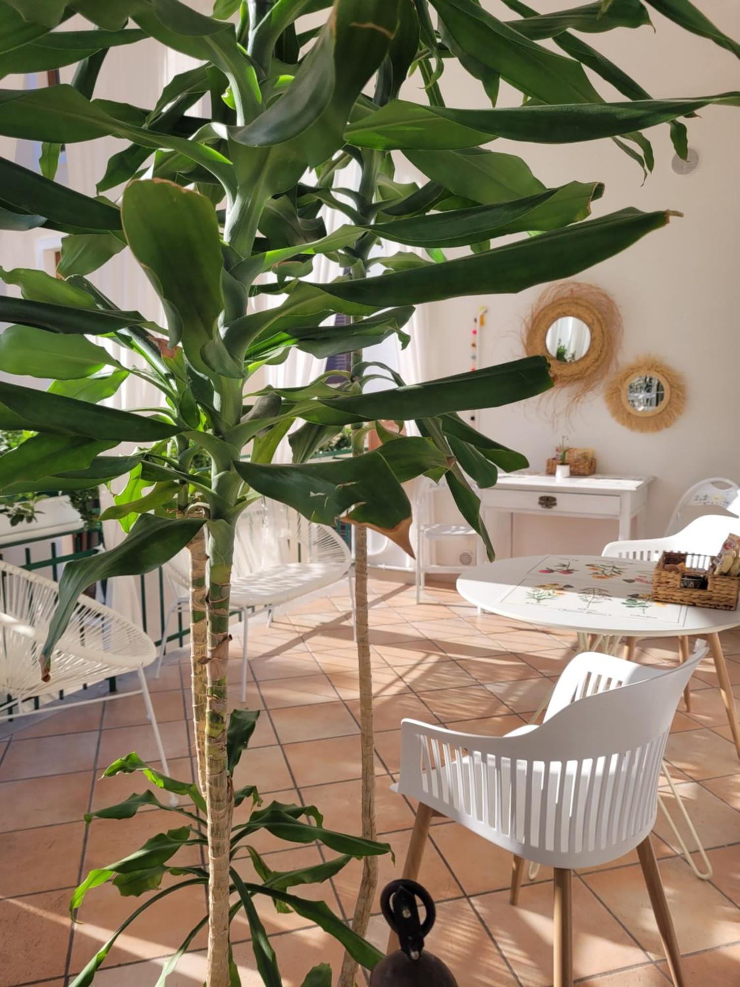 B&B Dal Nonno Riva del Garda Eksteriør billede